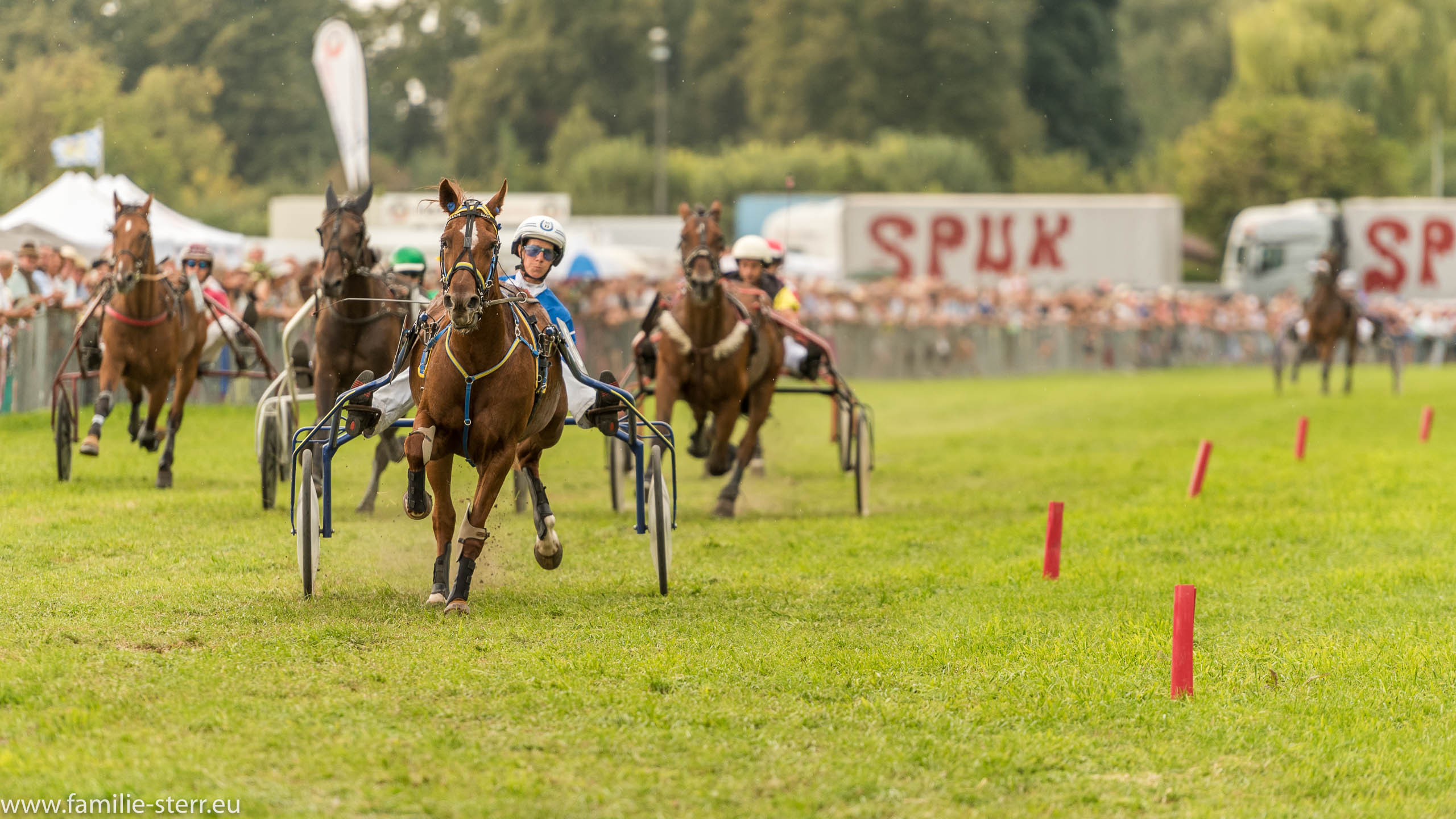 Trabrennen in Erding 2017